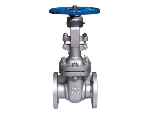 Invert Gate Valve Shreyas Industrial Products